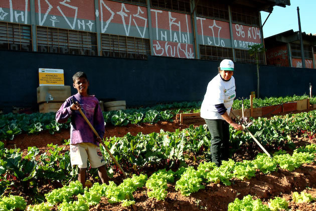 Projeto visa auxiliar comunidades em situação de vulnerabilidade social. (Foto: Divulgação)
