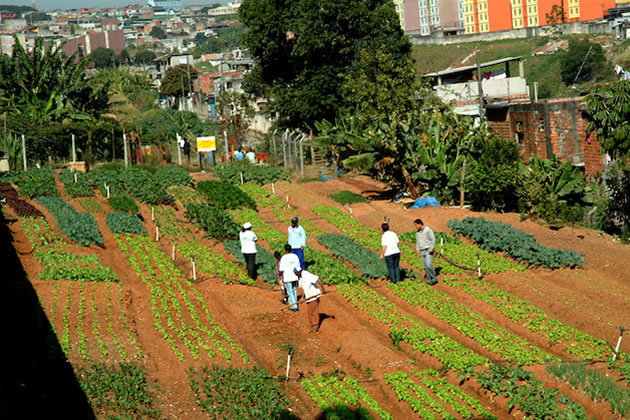 Missão da Cidades Sem Fome engloba ainda extinguir a pobreza e o desemprego. (Foto: Divulgação)