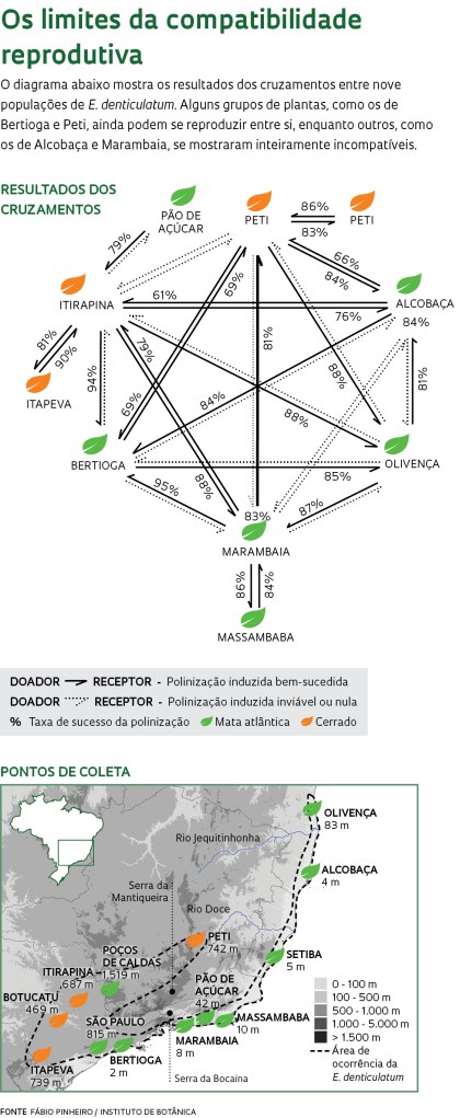 016-021_Info_Evolucao_212-2