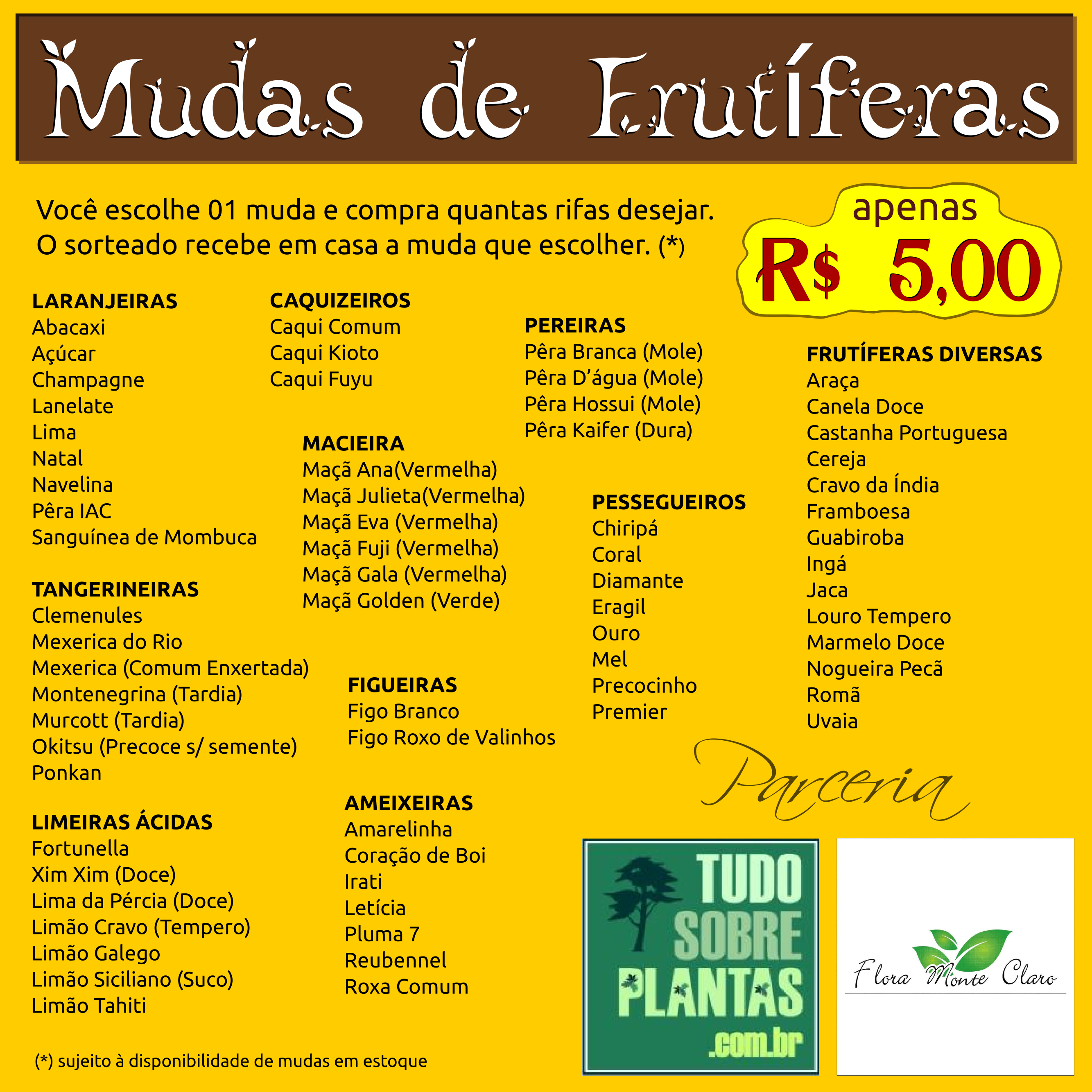 rifa_frutiferas_flora_monte_claro_tsp