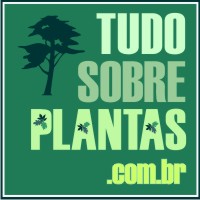 logo_tudosobreplantas