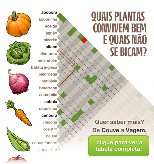 Plantas-companheiras-thumb-ff