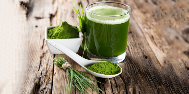 1000px-Depositphotos_47510891_original-660x330