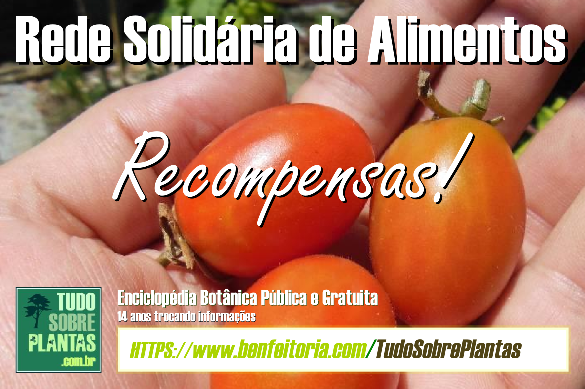bnr_campanha_2016_rsa_20_recompensas.png