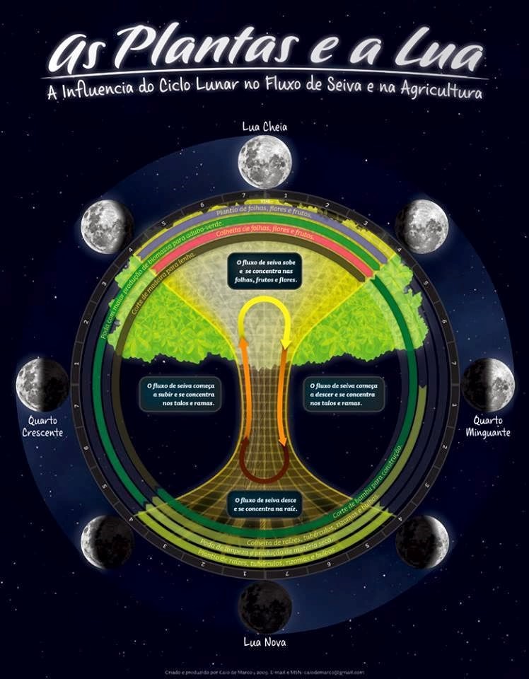 fc24ffae9884b320743045c8174ac7c5