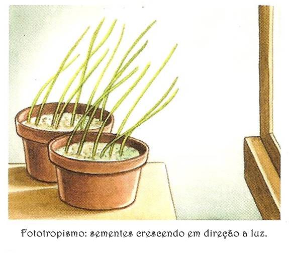 Digitalizar0002