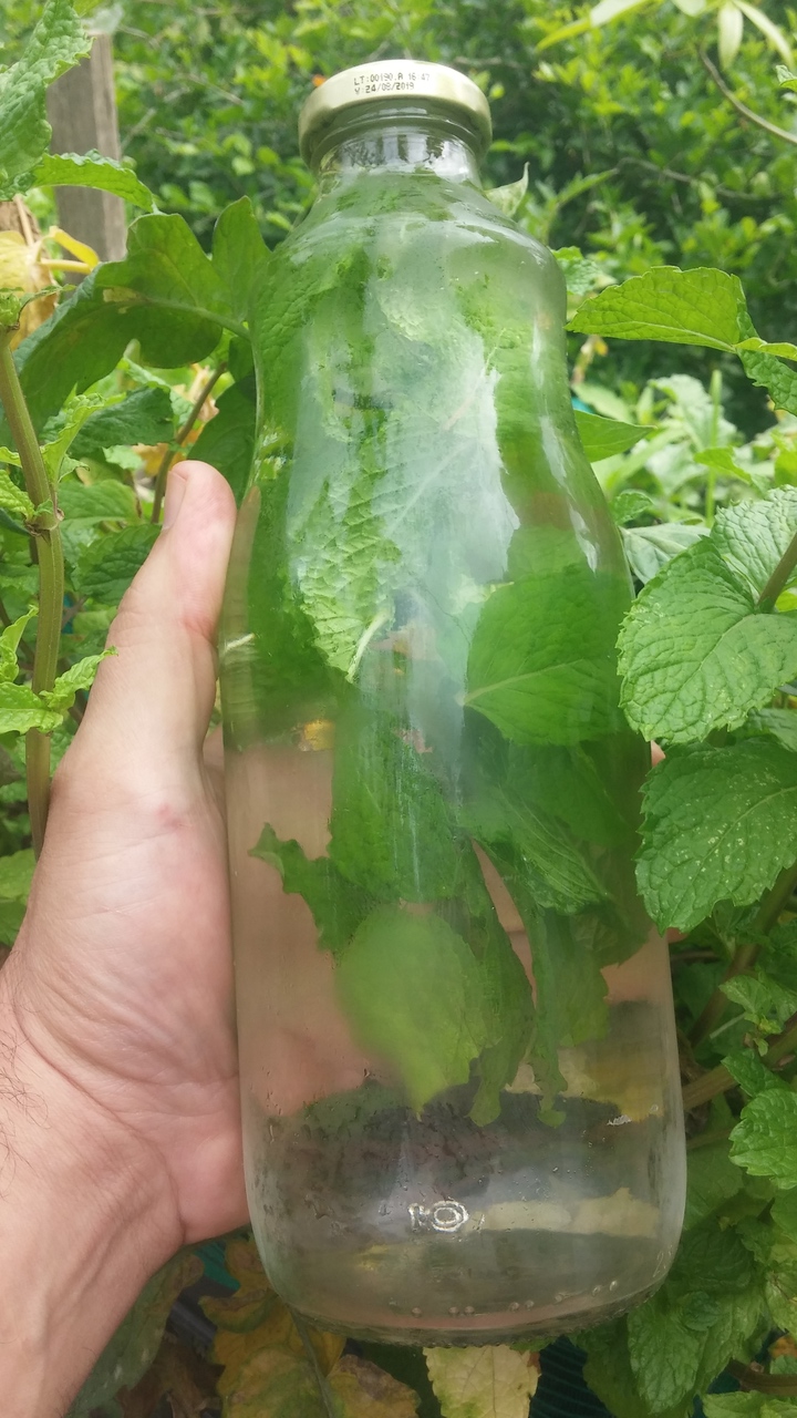 20181106_165106.redimensionado