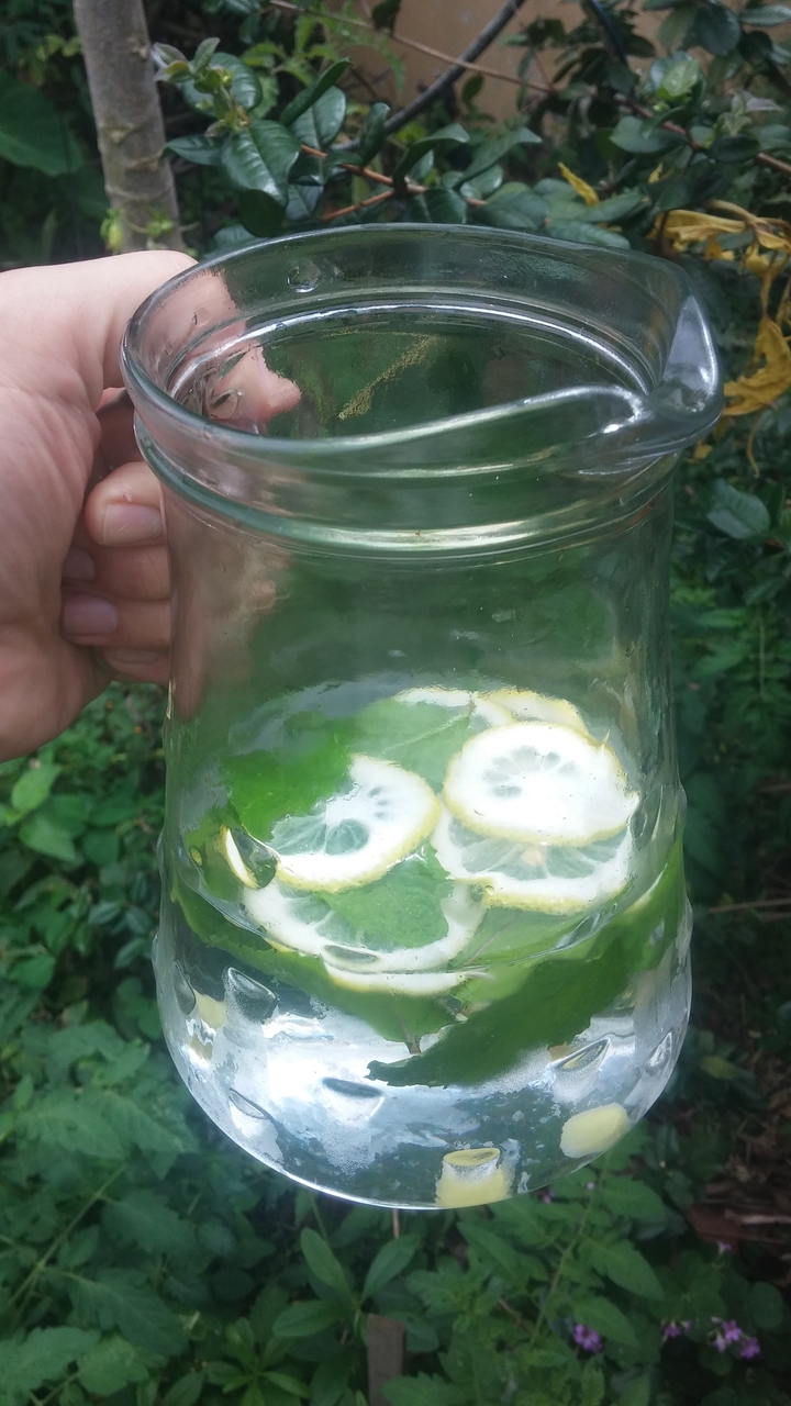 20181107_110155.redimensionado