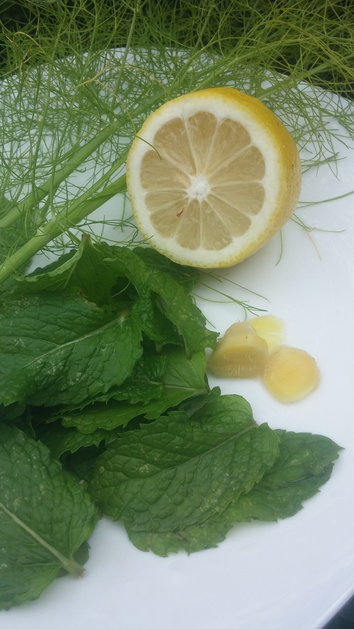 20181107_111015.redimensionado