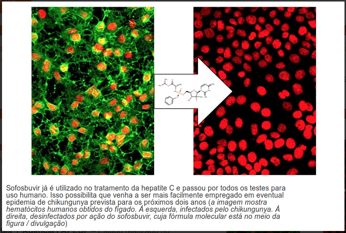 Captura de tela de 2018-11-08 13-01-18