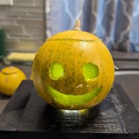 Cucurbita foetidissima
